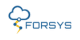 Forsys Logo